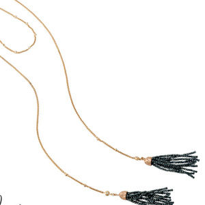 Park Lane Wrangler Necklace - Hostess Exclusive